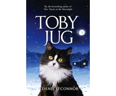 KNYGA Denis Oconnor Toby Jug