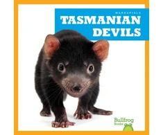KNYGA Deniston Tasmanian Devils