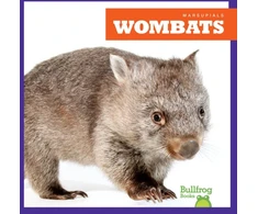KNYGA Deniston Wombats