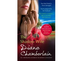 KNYGA Diane Chamberlain Shadow Wife
