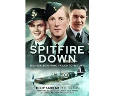 KNYGA Dilip Sarkar Spitfire Down