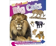 KNYGA Dk Publishing DKfindout! Big Cats
