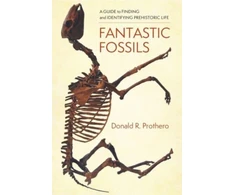 KNYGA Donald R Prothero Fantastic Fossils