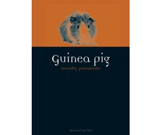 KNYGA Dorothy Yamamoto Guinea Pig