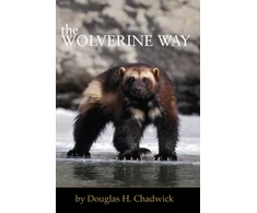 KNYGA Douglas H Chadwick Wolverine Way