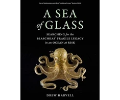 KNYGA Drew Harvell Sea of Glass
