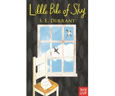 KNYGA Durrant S E Little Bits of Sky