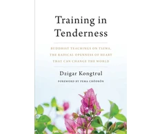 KNYGA Dzigar Kongtrul Training in Tenderness