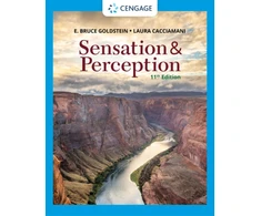 KNYGA E Bruce Goldstein Sensation and Perception