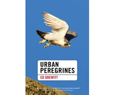 KNYGA Ed Drewitt Urban Peregrines