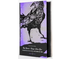KNYGA Edgar Allan Poe Varnas