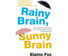 KNYGA Elaine Fox Rainy Brain, Sunny Brain