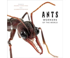 KNYGA Eleanor Spicer Rice Ants: Workers of the World