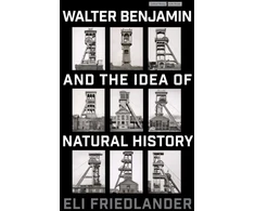 KNYGA Eli Friedlander Walter Benjamin and the Idea of Natural History