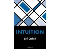 KNYGA Elijah Chudnoff Intuition
