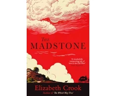 KNYGA Elizabeth Crook The Madstone