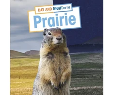 KNYGA Ellen Labrecque Day and Night on the Prairie