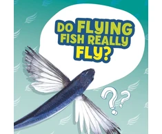 KNYGA Ellen Labrecque Do Flying Fish Really Fly?