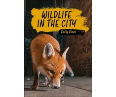 KNYGA Emily Hibbs Reading Planet KS2: Wildlife in the City - Earth/Pilkas