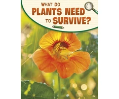 KNYGA Emily Raij What Do Plants Need to Survive?