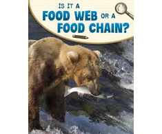 KNYGA Emily Sohn Is It a Food Web or a Food Chain?