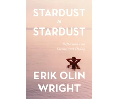 KNYGA Erik Olin Wright Stardust to Stardust