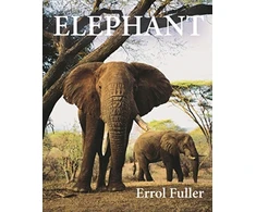 KNYGA Errol Fuller Dramblys