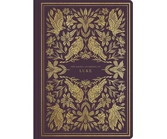 KNYGA ESV Bibles by Crossway ESV Illuminated Scripture Journal