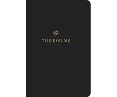 KNYGA Esv Bibles ESV Scripture Journal