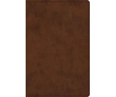 KNYGA Esv Bibles ESV Study Bible, Personal Size