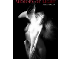 KNYGA EVALD Memory of Light