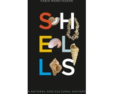 KNYGA Fabio Moretzsohn Shells