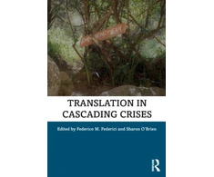 KNYGA Federico M Federici Translation in Cascading Crises