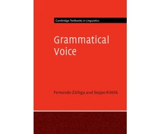 KNYGA Fernando Ziga Grammatical Voice