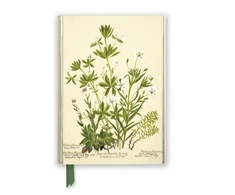 KNYGA „Flame Tree Studio“ RBGE: Charlotte Cowan Pearson: Stitchworts, Woodruff ir Pepperwort (foliuotas žurnalas)