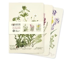 KNYGA Flame Tree Studio Royal Botanic Garden Edinburgh Set of 3 Midi Notebooks