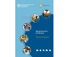 KNYGA Food and Agriculture Organization of the United Nations Agripreneuriat en Afrique