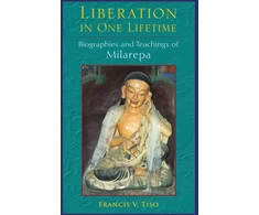 KNYGA Francis V Tiso Liberation in One Lifetime