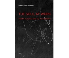 KNYGA Franco Berardi Soul at Work