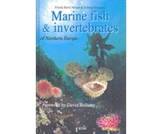 KNYGA Frank Emil Moen Marine Fish &amp; Invertebrates of Northern Europe