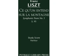 KNYGA Franz Liszt Ce qu'on entend sur la montagne, S.95