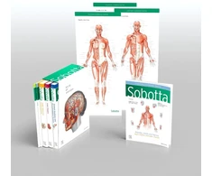 KNYGA Friedrich Paulsen Sobotta Atlas of Anatomy, Package, 17th ed., English/Latin