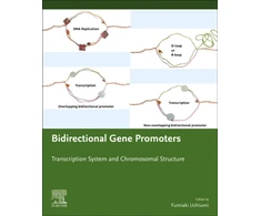 KNYGA Fumiaki Uchiumi Bidirectional Gene Promoters