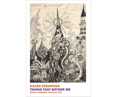KNYGA Galen Strawson Things That Bother Me