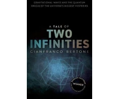 KNYGA Gianfranco Bertone Tale of Two Infinities