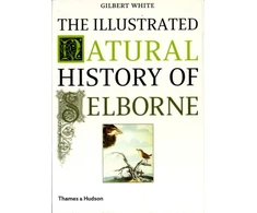 KNYGA Gilbert White Illustrated Natural History of Selborne