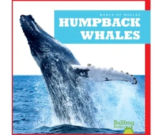 KNYGA Gleisner Humpback Whales