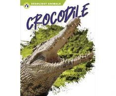 KNYGA Golriz Golkar Crocodile