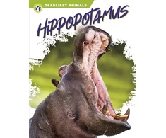 KNYGA Golriz Golkar Hippopotamus