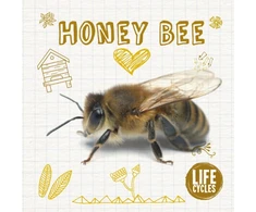 KNYGA Grace Jones Honey Bee